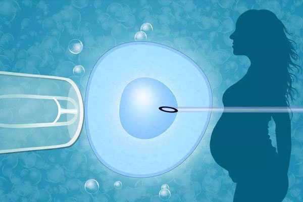 重庆医院做供卵试,重庆助孕试管婴儿胚胎移植后的2周时间