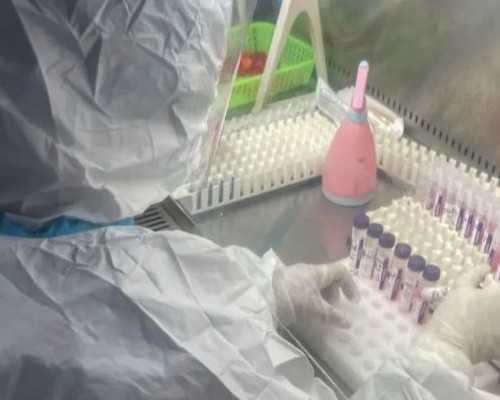 私立供卵机构合法吗&重度弱精试管成功率,备孕却怀不上，有可能是输卵管堵塞