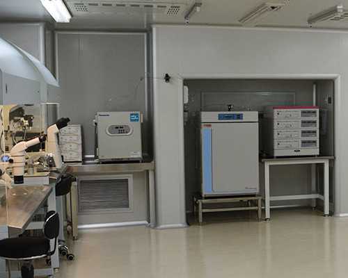 重庆代孕服务公司|残角子宫在拉萨通过试管治疗该挂什么科？