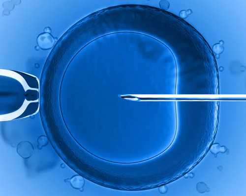 代怀多少钱一次_代怀孩子哪家好,[试管双胞胎]双胞胎混血萌娃走红，听说“试