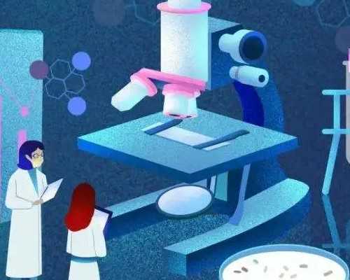 49岁卵子成活率是多少&国外供卵多钱,备孕期间有妇科病怎么办