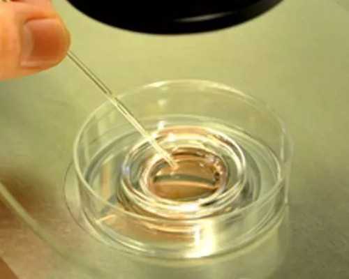 重庆有代孕女请找我|湛江哪几家医院能做三代试管婴儿?