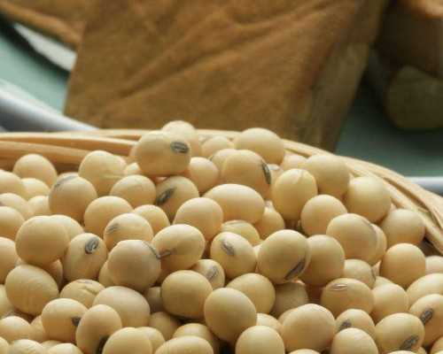 重庆做泰国试管婴儿的详细流程和时间安排是怎么样的？