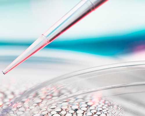 重庆代孕价格和套餐,北京民间地下供卵试管机构（重庆助孕优贝贝助孕）-40岁