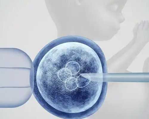 重庆供卵吧,试管婴儿成功授孕，30天为什么会流产_上海供卵试管医院有哪些_重