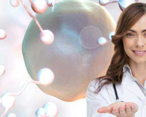 安徽省立试管费用