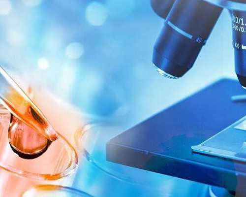 重庆渝中区公立幼儿园入园条件有哪些？要当地户籍吗？