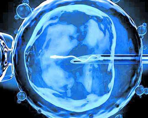 重庆有人在做代孕的吗|郑州供卵三代单身试管选男孩多少钱？十五万够吗？