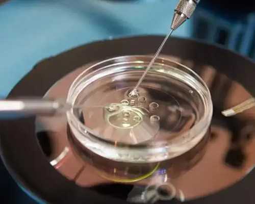 重庆代孕产子多少钱价格|2026南通供卵试管婴儿医院排名一览？