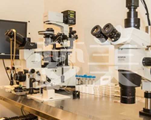 重庆有正规代孕公司,重庆三代试管婴儿成功率真的高吗？