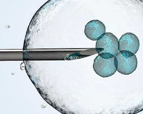 重庆代怀网正规,美国试管婴儿之取卵知识_2026
年宫廷生男生女图_重庆医科大学