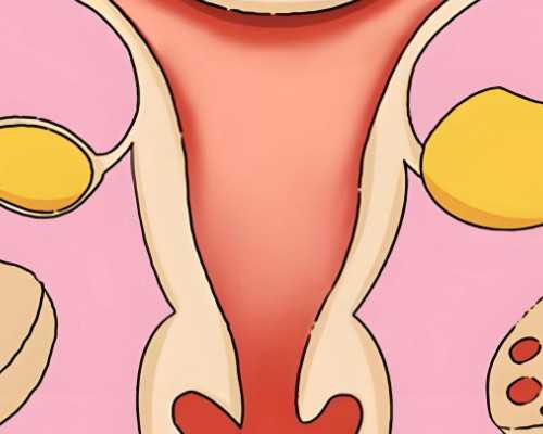 1.3大小的卵可以取吗&哪里供卵不用排队,专家解析——孕期自我保健的三个“如