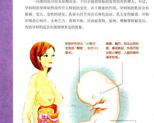 代怀孩子宝宝_卵巢早衰代怀价格,男士试管婴儿前要检查什么项目_南京代怀供卵