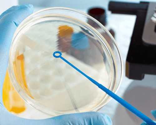 哪里有代怀_试管助孕借卵代怀,医生建议直接做试管婴儿，我还有自然怀孕的可