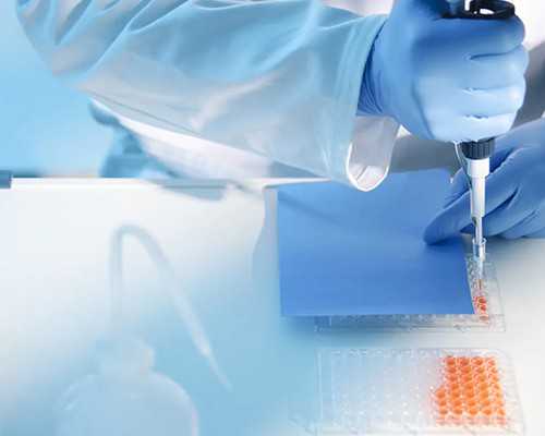 重庆代怀中介,北京做试管婴儿的医院哪里做得好呢？-试管能不能吃毛豆-重庆妇