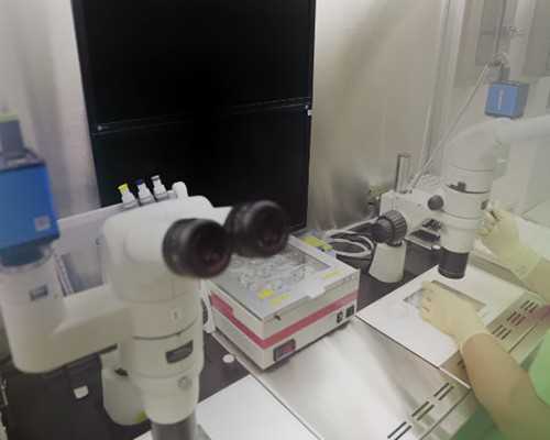 重庆代孕是违法判几年|试管放2个囊胚成活率[安顺包生男孩医院名单推荐]