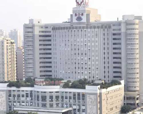 4位失独老人海外找孕母&家圆医院供卵,备孕叶酸摄入0.4还是0.8好