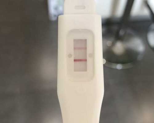 代怀生子网_代怀价格表哪里有,试管婴儿取卵后立马移植还是过一个月再移植机