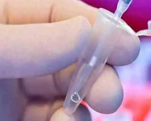 弱精试管二代成功率&中信可以一对一供卵,吃维e对备孕有好处吗