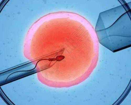 重庆代孕可选男女,重庆试管qq群谁有？试管交流用途，没有中介的那种！