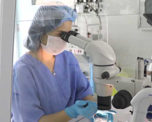 重庆代孕的纠纷案例|2026
在长沙做供卵试管婴儿要多少钱？附2026
长沙供卵试管