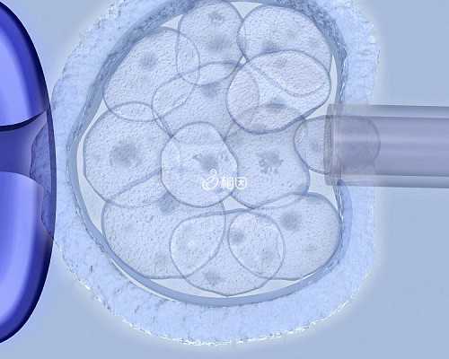 2026年重庆妇幼保健院第三代试管婴儿费用是多少？