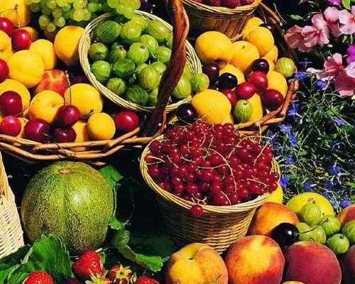 代怀孕急救小游戏_代怀价钱,试管婴儿，取了卵，但要过一两个月才可以取卵，