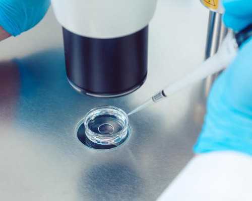 有供卵试管婴儿医院吗&代孕宝宝,女性备孕前生女孩要吃哪些酸性水果？备孕生