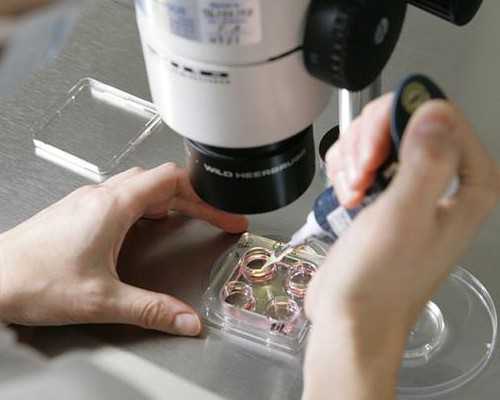 重庆三代试管代孕医院|苏州做三代试管婴儿大概多少钱？附流程表！