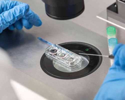 重庆同性供卵代生,在重庆做试管婴儿的流程和费用