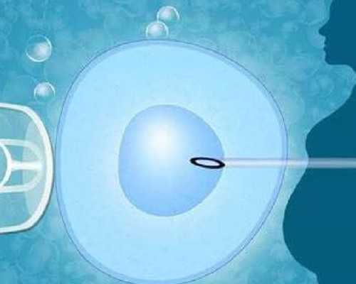 重庆靠谱代生生子,试管婴儿促排前吃什么好_上海供卵试管公司有哪些_试管抗结