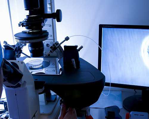 重庆市妇幼保健院黄国宁做三代试管婴儿的成功率高吗？