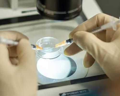 重庆助孕供卵多少,重庆西南医院试管群（微信群QQ群882078356），经验交流杜绝广