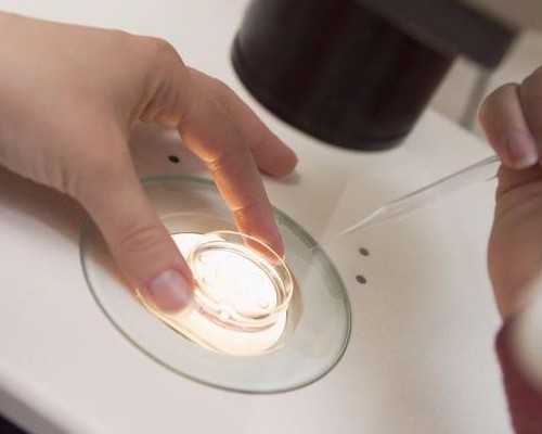 重庆代孕公司的费用|莆田市2026
年最新供卵试管助孕医院排名-内附莆田供卵现