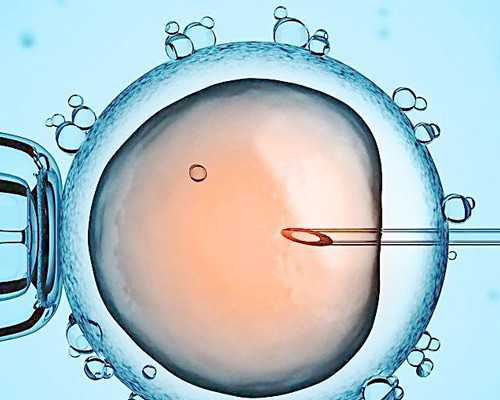 40岁如何提高卵子质量&代怀费用是多少,鹿角胶可以助孕吗 鹿角胶真的那么好吗
