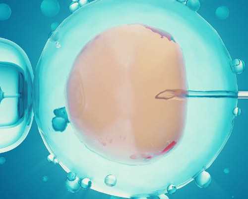 供卵试管子宫需要哪些条件&供卵试管生的孩子,上海夫妇去做俄罗斯试管助孕，