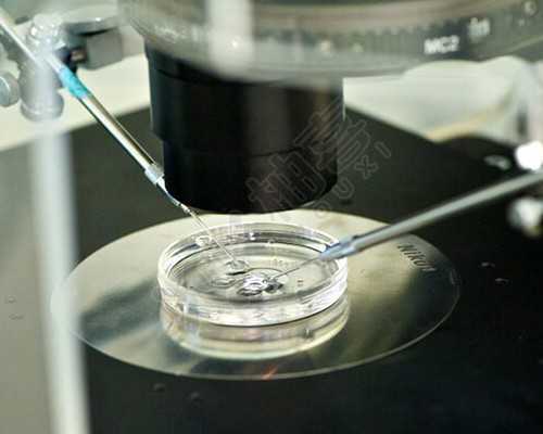 重庆高龄借卵价格,试管内膜多厚适合着床_2026
年怀孕到2026年生男生女-重庆西南