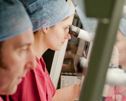 重庆试管代孕的流程|洛阳供卵试管医院（含排队时长）！附2026借卵自怀流程步