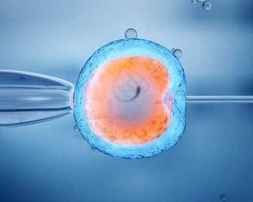 重庆代怀试管三代,重庆第三代试管婴儿是如何实现性别选择的？