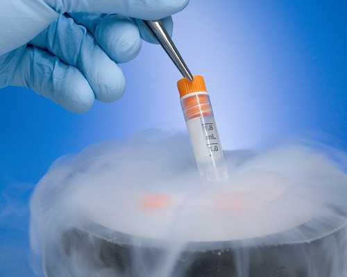 排卵试纸强阳容易生女儿吗？强阳当天同房生女孩的概率是多少？