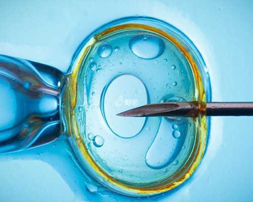 提供卵巢早衰借卵助孕&甜馨代孕,子宫内膜异位症会影响备孕吗？