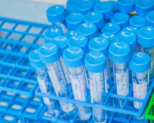 第三代试管婴儿可以选性别吗&默默供卵网联系方式,做试管婴儿助孕生男生女可