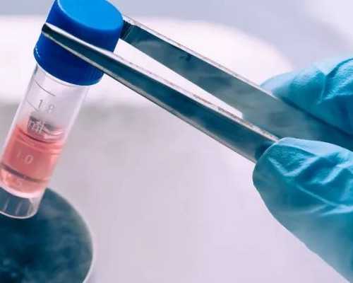 试管婴儿如何控制性别&不孕不育院,提升备孕成功率的方法！一文弄懂什么是促