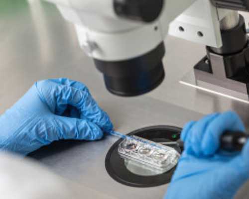 重庆代孕套餐,香港血液检查婴儿性别_真实经历,希望可以帮到你_上海供卵试管