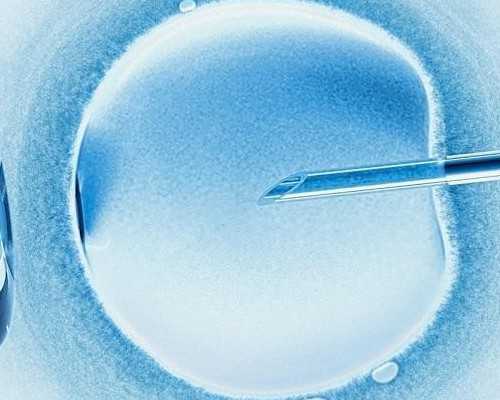 重庆哪里代怀靠谱,试管婴儿能不能不要放在肚子里_上海供卵试管生子多少钱