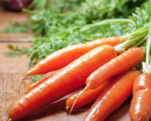 重庆美国代孕网站,北京供卵医院做试管婴儿费用多少？_试管促排八天就打夜针