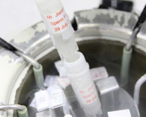 重庆试管代怀成功,重庆供卵试管医院哪里有，重庆第三代试管婴儿医院