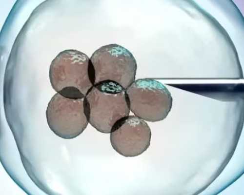 重庆代怀公司供卵,重庆妇幼做供卵试管多少钱？附详细费用清单-梦见金蛇生男