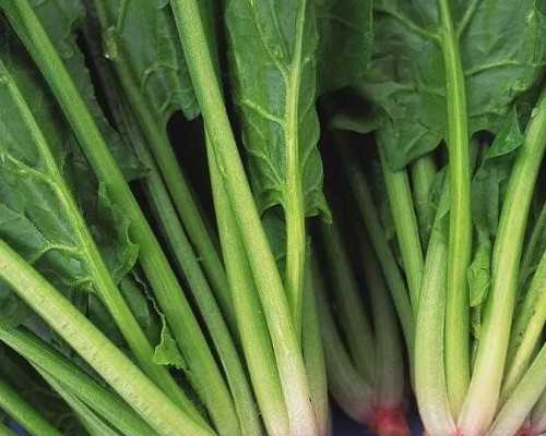 重庆最新代怀价格,成都西囡医院试管成功率怎么样_西安有没有供卵的-卵巢功能