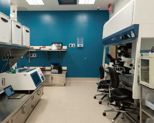 弱精试管成功率怎么样&代孕自愿者,叶酸片什么时候吃最好备孕，备孕男人居然